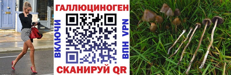 Псилоцибиновые грибы мухоморы Менделеевск