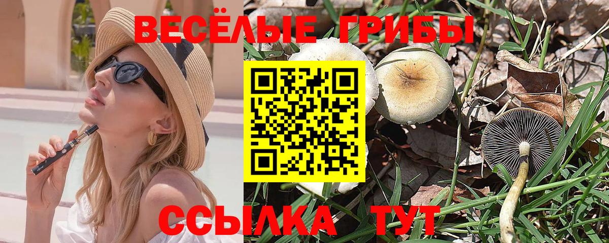 Псилоцибиновые грибы прущие грибы  Вход с VPN  закладки  Менделеевск 