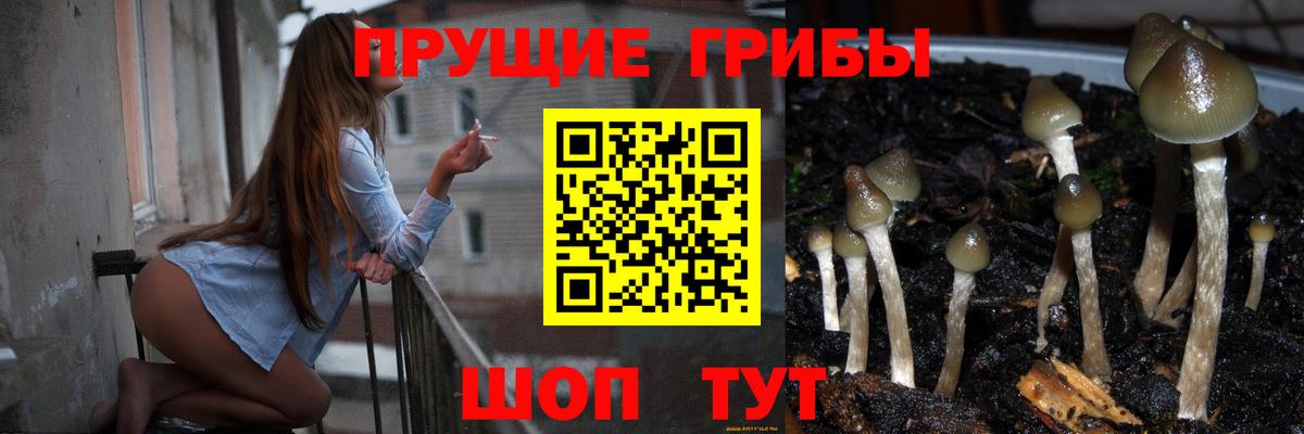 Псилоцибиновые грибы MAGIC MUSHROOMS Менделеевск